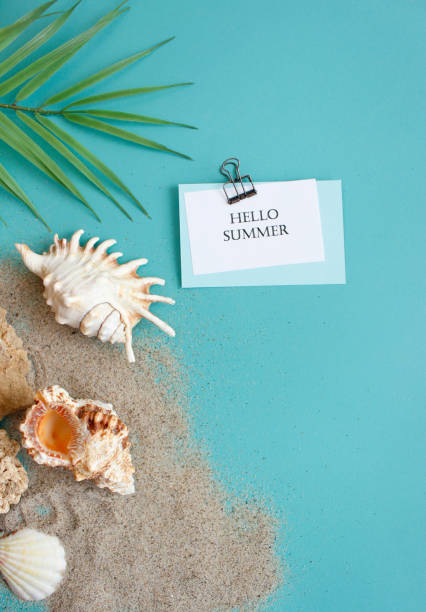 istock Summer composition. tropical palm leaves, seashells on blue background. Summer concept. Flat lay, top view, copy space 1383828455