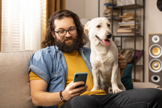 un hombre barbudo navega por internet en un teléfono inteligente en compañía de su perro. un niño de mediana edad contento usa su teléfono mientras está sentado en el sofá de la sala de estar - mid adult men smart casual white happiness fotografías e imágenes de stock