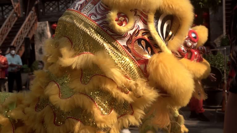 Chinese lions performing, Lunar new year festival.