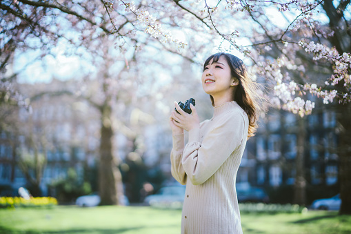 Asian young cheerful woman taking picture of cherry blossom using her camera at a public park.