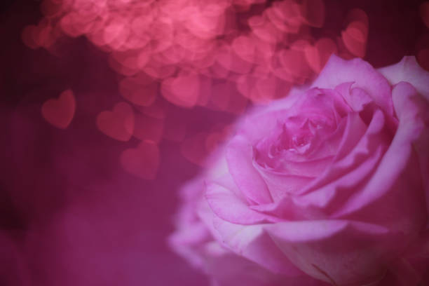 A close-up image of a pink rose in full bloom. , the rose has delicate petals arranged in a spiral pattern, forming a beautiful, symmetrical swirl at the center. The edges of the petals show minor natural wear, and the background is softly blurred, highlighting the rose. The background includes hints of other flowers and green leaves.