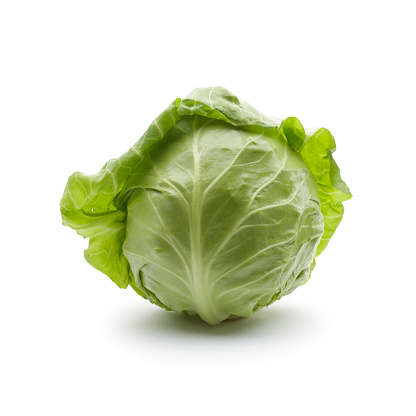 Green cabbage on white background.