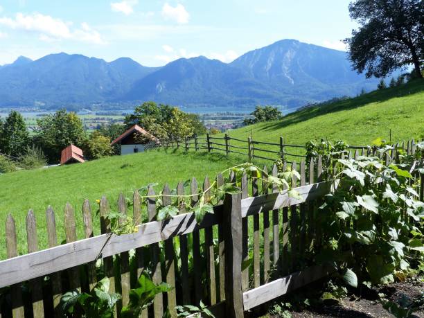 istock Bavaria, Upper Bavaria, Alps 1383848057