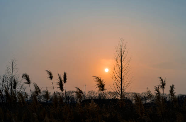 Sunset scenery on the hill in the evening