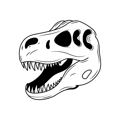 Abstract Black Simple Line Dinosaur Tyrannosaur Skull With Teeth Doodle Outline Element Vector Design Style Sketch Isolated On White Background Illustration Bones, Botanic, Skeleton