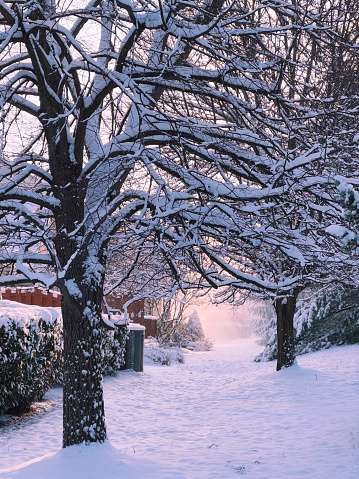 Backyard in Winter snowstorm, Worcester, Pennsylvania, USA