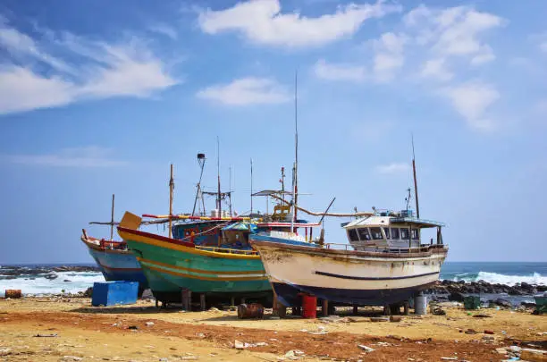 Photo of Fishing boats in Dondra harbor in Sri Lanka.