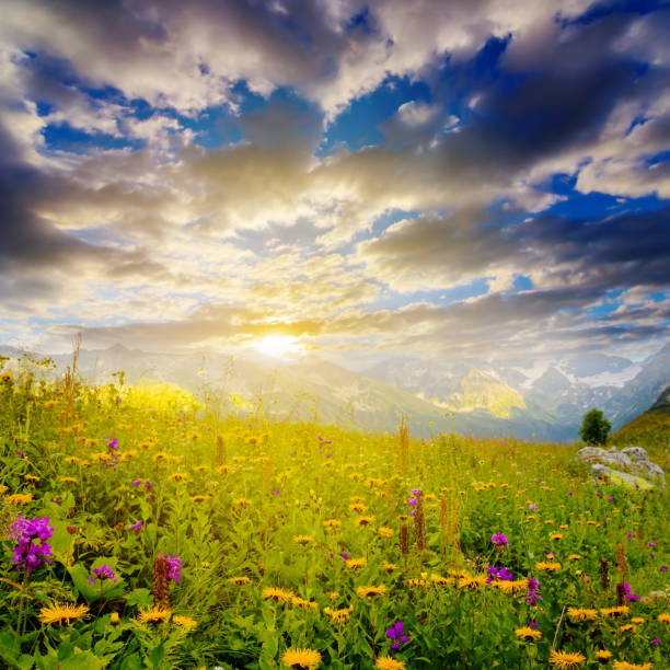 istock sunset among a green hills 1383853568