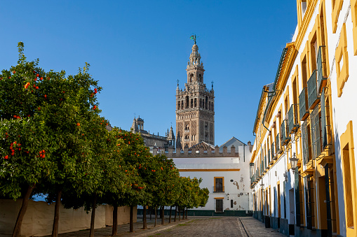 The famous Giralda bell tower of Seville Cathedral, built as the minaret for the Great Mosque of Seville in 12th century Moorish Spain: from Plaza Patio de Banderas, Sevilla, Andalusia, Spain