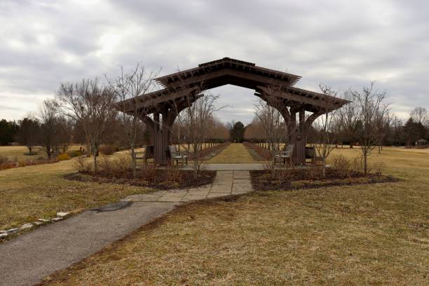 istock Wood Archway in the Park 1383857045