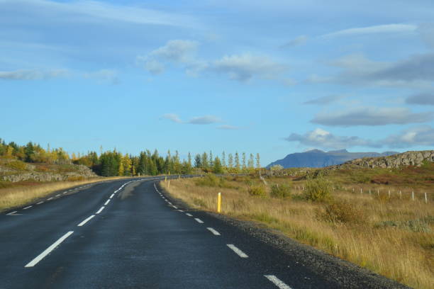 istock Lonely road on Iceland 1383857397
