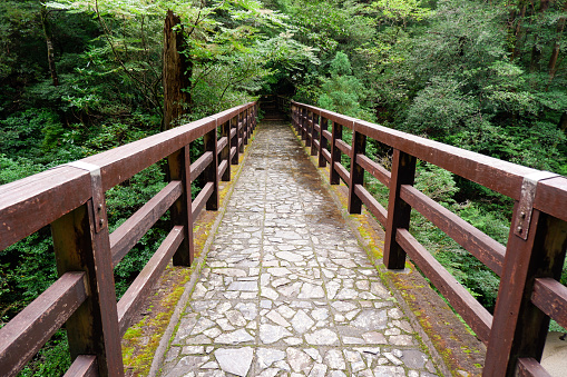 Bridge of Yakushima island, Japan