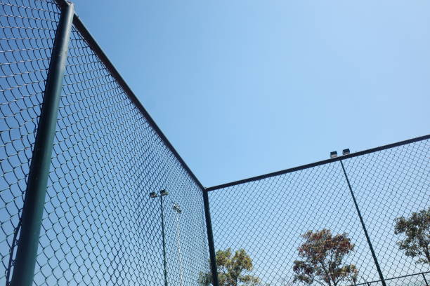 istock Protective iron net for urban outdoor activities 1383859492