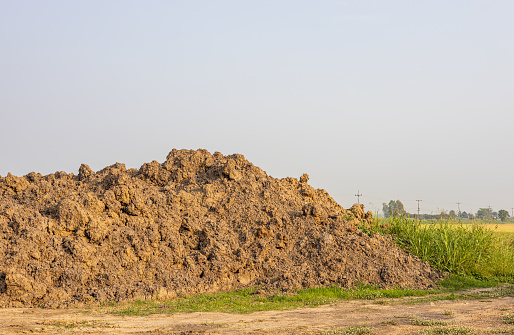 A hillside view of a large pile of soil with weeds growing close up on the ground during the day with the sky in the background, common in rural Thai farmland.