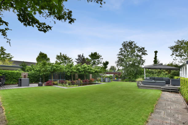 大きな緑の芝生のある家の裏庭 - front or back yard ストックフォトと画像