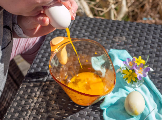 Blow out eggs at Easter Blow out eggs at Easter concentrated solar power photos stock pictures, royalty-free photos & images
