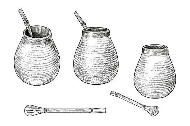 Vector illustration of Vector drawings of yerba mate cups and bombilla