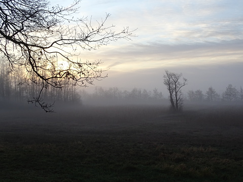 landscape photo with a sunrise, with silhouettes of trees and a beautiful misty mist. the colors are black, blue, yellow, orange and brown