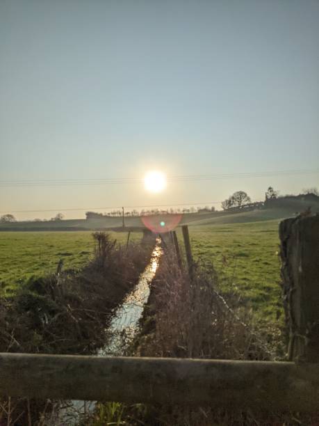 istock Morning countryside 1383882284