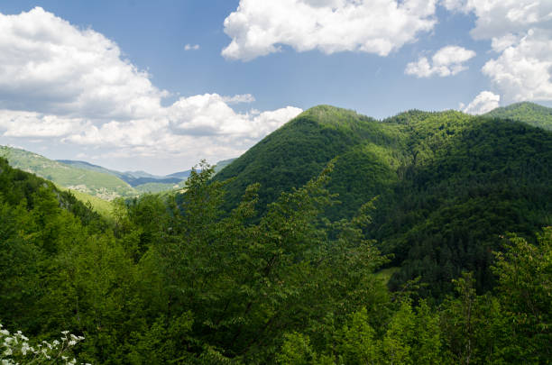 le verdi colline della montagna si ergono sotto il cielo blu - deep of field foto e immagini stock