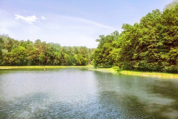 istock Lake in forest in sunny summer day panoramic view. 1383885237