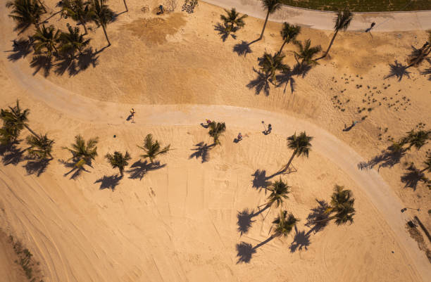 istock Workers cleaning road covered by sand 1383885818