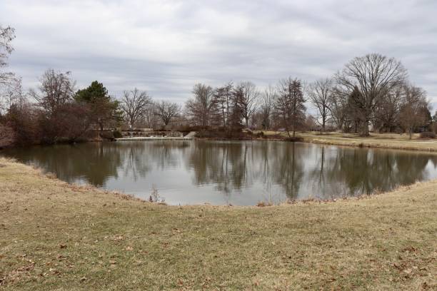 istock Quiet Pond in the Countryside 1383889213