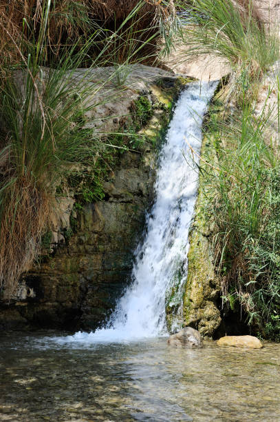 istock Streams and waterfalls Nature Reserve Ein Gedi 1383890519