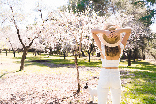 Horizontal panoramic view of unrecognizable woman at park with almond trees. People and nature lifestyle.