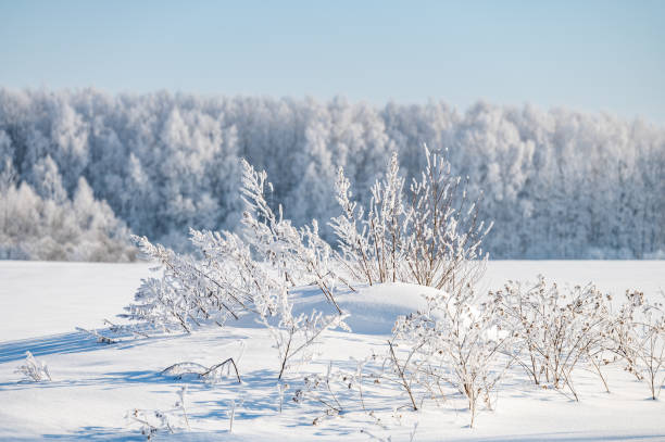 istock not frozen pond in winter 1383898651