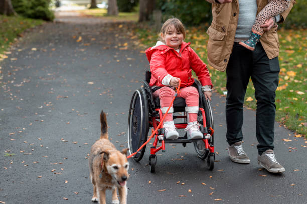Helping Walk The Dog A low-angle view of a young girl out with her sister and father in a park in Newcastle upon Tyne. She is a wheelchair user and is helping out by holding the dogs lead whilst on their day out to the park. accessibility for persons with disabilities photos stock pictures, royalty-free photos & images