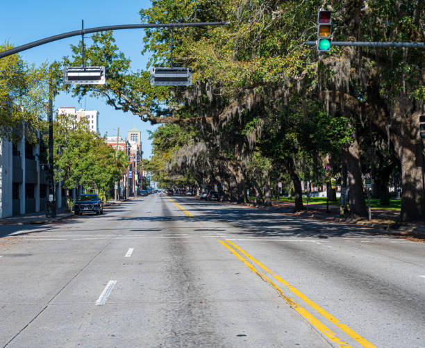 istock Bay Street -  Savannah, Georgia 1383925334