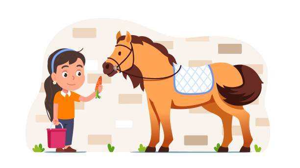 승마 사람 말 당근을 먹이. 농장 목장에서 국내 동물을 돌보는 기수 기수 소녀 아이 만화 캐릭터. 종마에 음식을 주는 여자. 승마 플랫 벡터 일러스트레이션 - horse child animal feeding stock illustrations