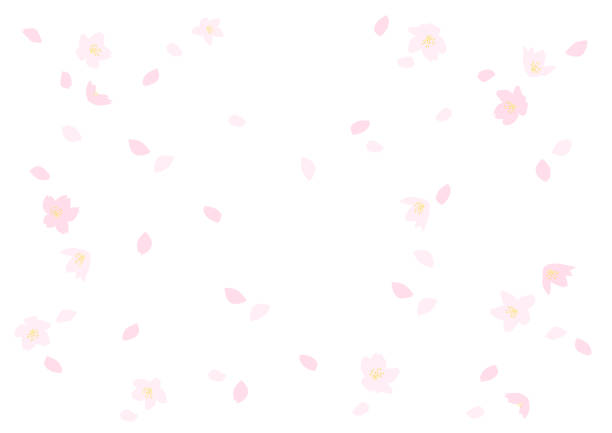 落ちる桜。ベクターの背景の図。 - 桜吹雪点のイラスト素材／クリップアート素材／マンガ素材／アイコン素材