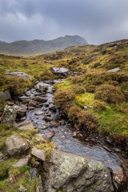 istock Snowdonia National Park 1383933458