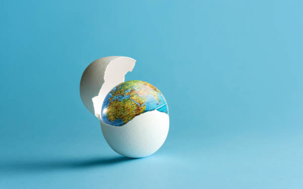 le globe éclot de l’œuf. la naissance de la terre. - food source photos et images de collection