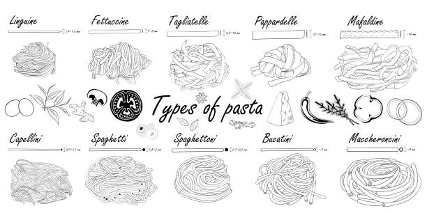 illustrazioni stock, clip art, cartoni animati e icone di tendenza di tipi di pasta. bianco e nero. differenza di pasta lunga, esempio di illustrazione. - linguine