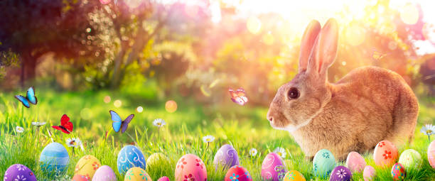 istock Easter Bunny - Decorated Eggs And Cute Rabbit In Sunny Spring Meadow With Defocused Abstract Lights 1383949559