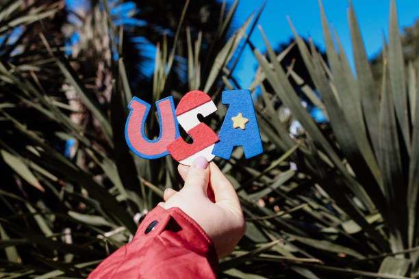 USA lettering inscription on natural palm background