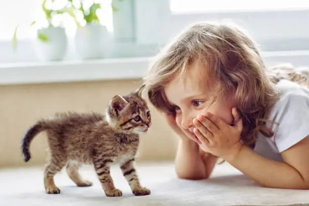 Photo of A girl next to her with a striped kitten on the couch