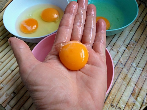 Egg yolk in the hand