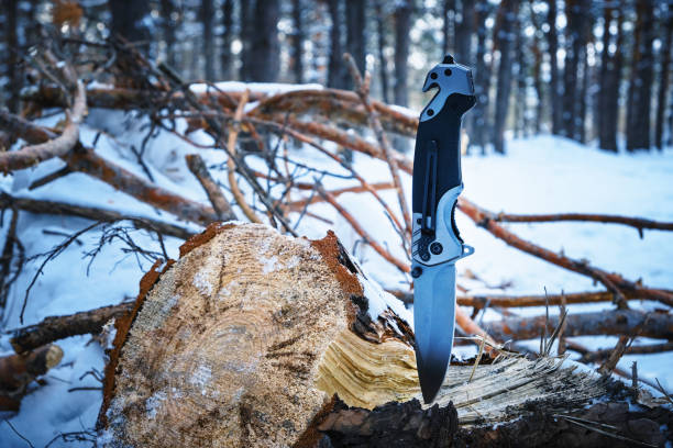 Folding camping knife is stuck in stump fallen pine tree against background winter pine forest