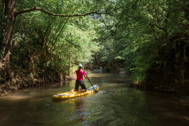 istock Woman paddleboarding on the river 1383958257
