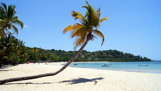 Andilana Beach, Nosy Be Island, Madagascar stock photo