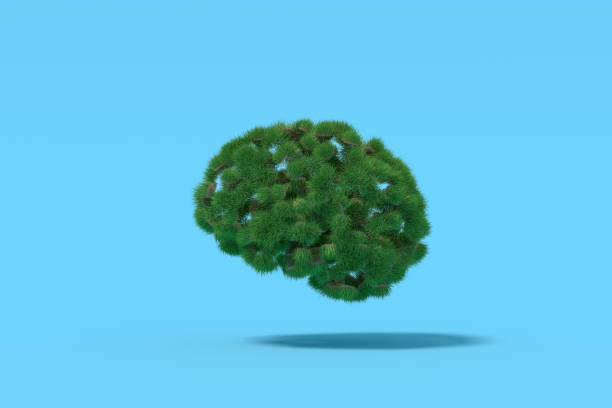 istock Brain shape with grass, thinking climate change sustainable energy 1383963854