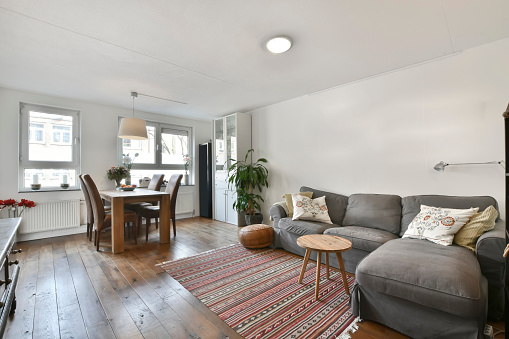 Relaxation room with comfortable, soft, gray sofa and houseplants