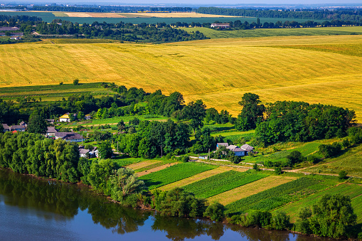 Campo de trigo en un día soleado. Hermosos paisajes de Ucrania. photo