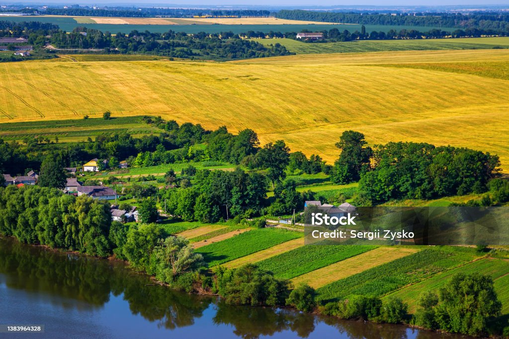 Wheat field on a sunny day. Beautiful landscapes of Ukraine. Agriculture Stock Photo