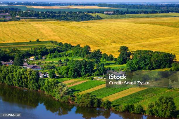 Wheat Field On A Sunny Day Beautiful Landscapes Of Ukraine Stock Photo - Download Image Now