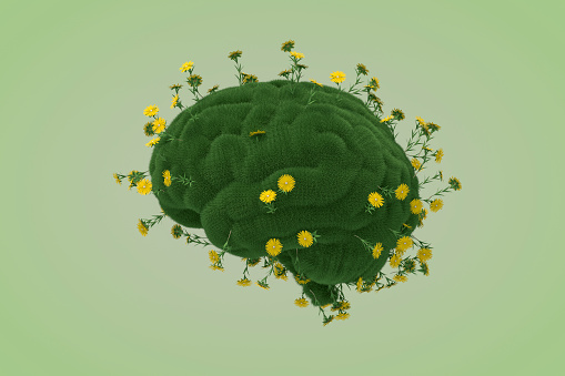 Brain shape with grass, thinking climate change sustainable energy, 3d render.